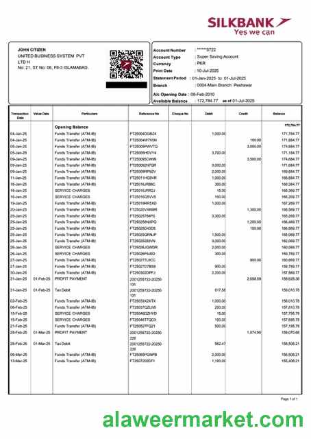Pakistan Silkbank account statement Word and PDF template
